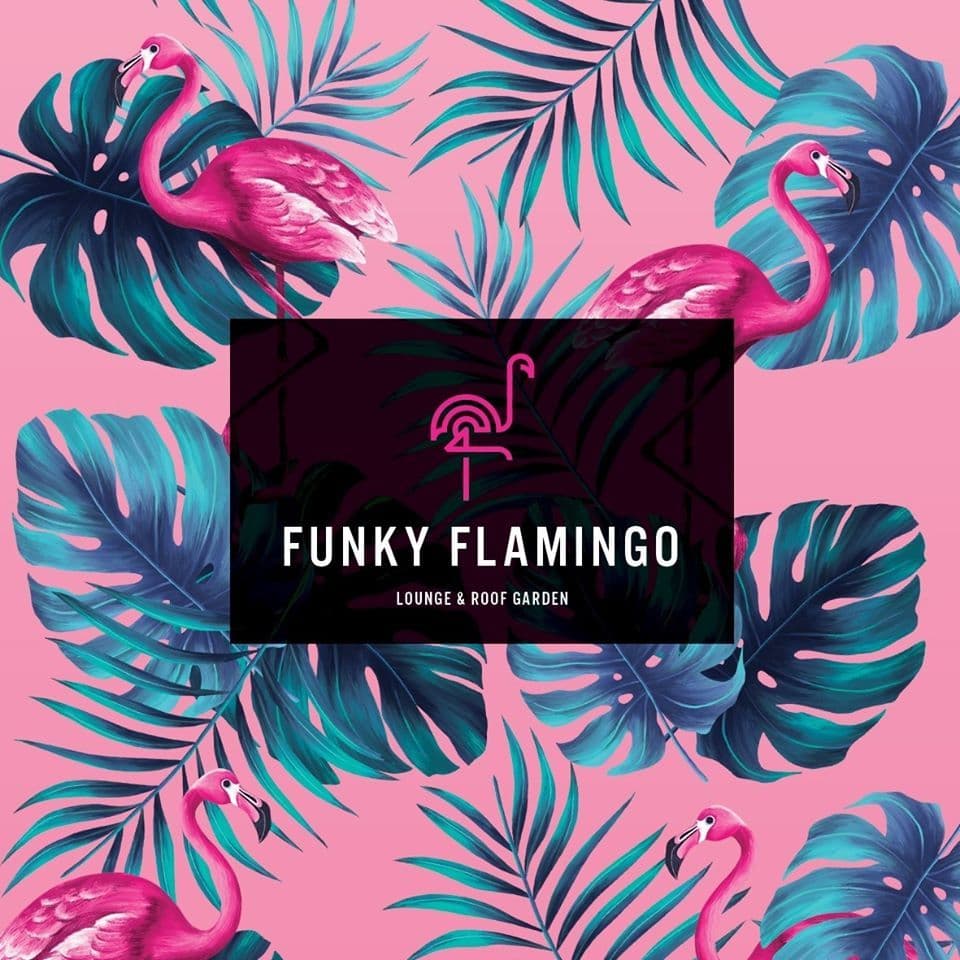 Funky Flamingo Leggings