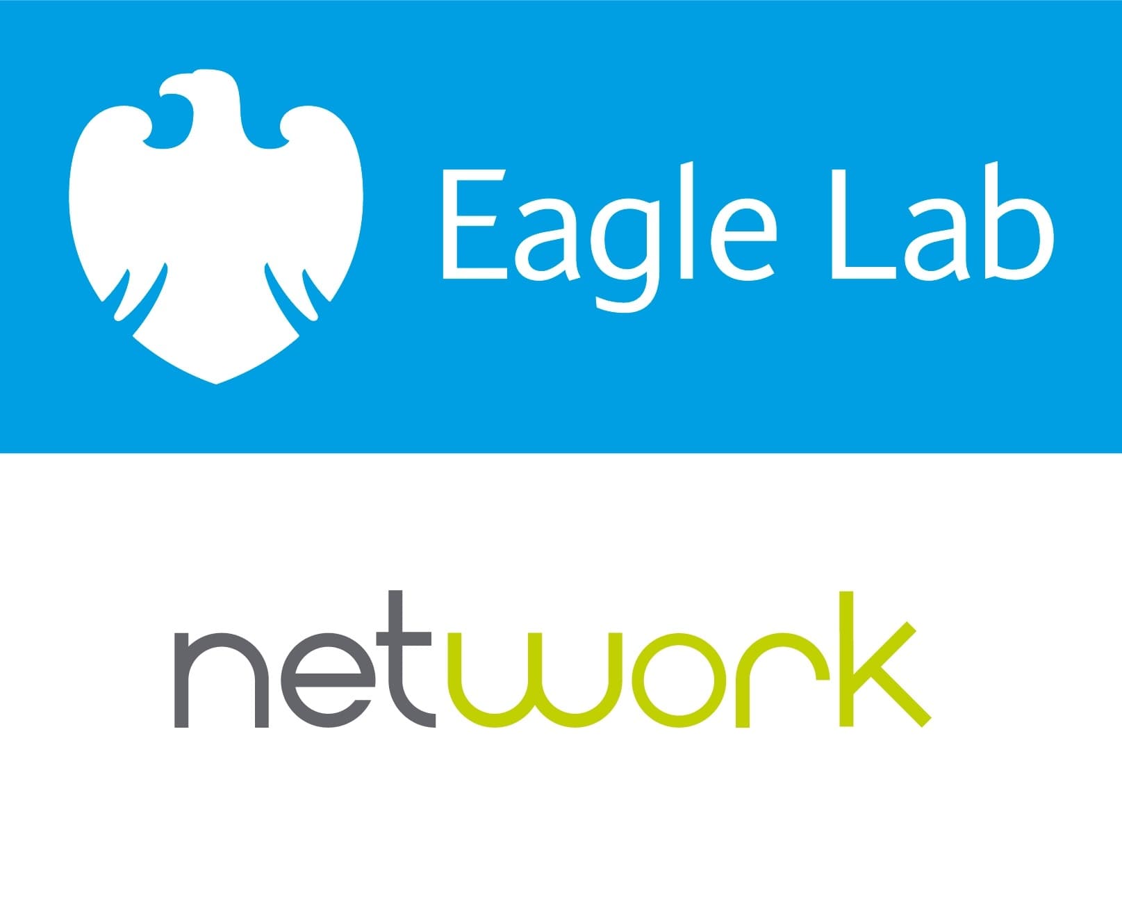 Network Eagle Lab
