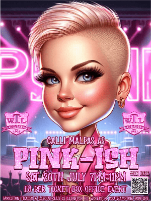 PinkIsh Tribute Show With Calli Malpas As Pink