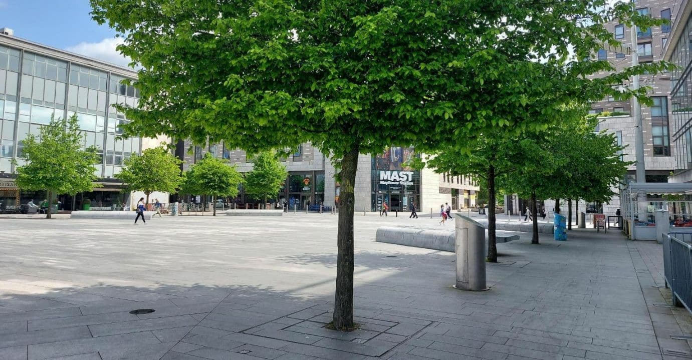 Trees lining Guildhall Square, Southampton